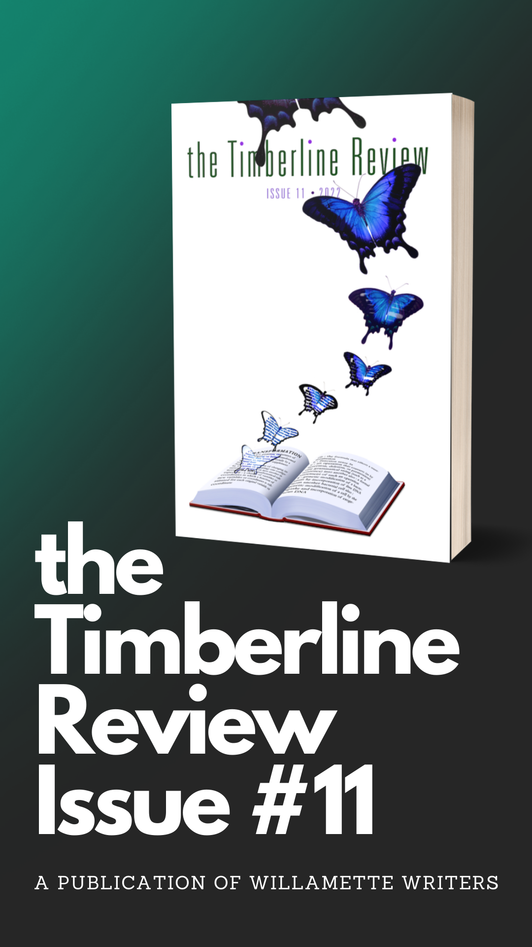 Cover Timberline Review #11