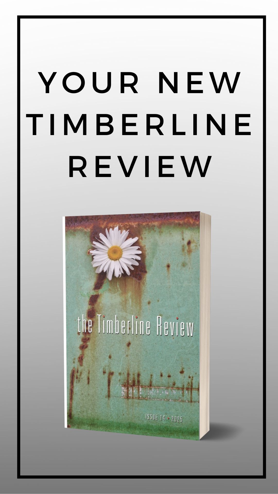 Cover Timberline Review #13